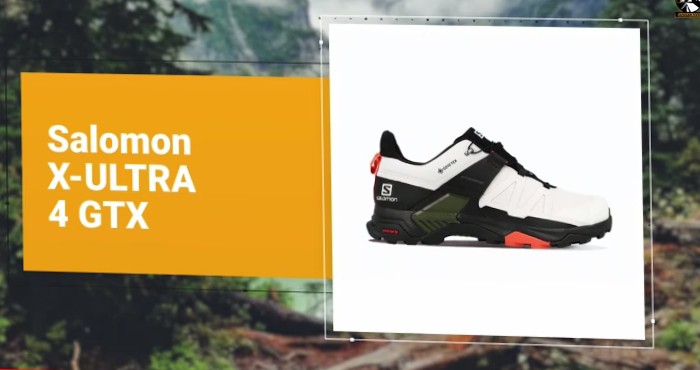 -Salomon X Ultra 4 GTX